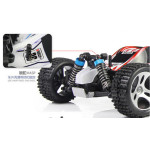 Wltoys A959 Rc Car 1/18 2.4Gh 4WD Off-Road Buggy RTR